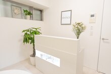 スターティス(STATICE)
