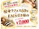 ユーフォリア グロウ(euphoria glow)の写真