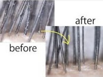 グランドオウジャ(Grand Ouja)/アイシャンプー