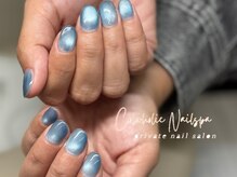 カラーホリック ネイルスパ(Colorholic Nailspa)/ブルーマグネットワンカラー