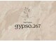 ジプソ(gypso.267)の写真