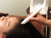 美しき森の雰囲気（幹細胞上清液で頭皮の細胞を活性化、ハリ、コシのある髪に）