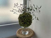 リチューン 自由が丘店(Re.tune)/紫陽花