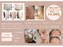 アブニールブリヨン