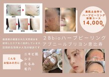 アブニールブリヨン