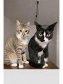 サロンペペ(salon pepe)&nbsp;我が家の猫ちゃん。「ちゅら＆ぺぺ」二匹とも保護猫です。