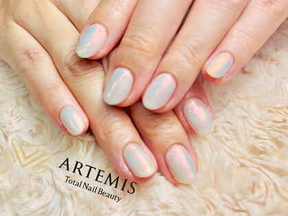 アルテミス(ARTEMIS)の写真