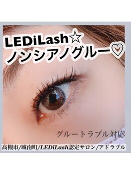 アドラブル(Adorable)/LEDiLash100本