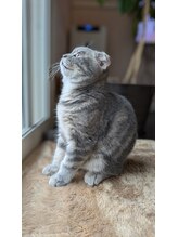 フェアリーローズ(FairyRose)&nbsp;森合 