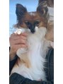 グイット 仙台マーブルロード店(Goo-it!)&nbsp;愛犬6歳☆彡いつも一緒に寝ております(笑)