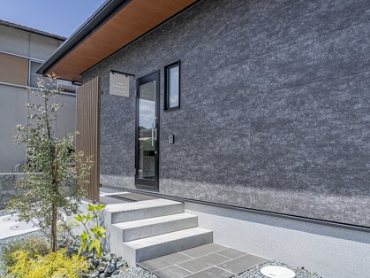 ペルナ(perna)の写真