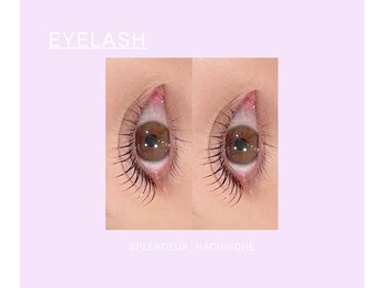 スプランドゥール 八戸(Splendeur)/まつげパーマ