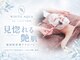 ホワイトアクア 北堀江店(WHITE AQUA)の写真/韓国美容定番の≪最先端ララピール≫ハリ艶水光肌に◎ニキビ・毛穴　敏感肌の方にも◎