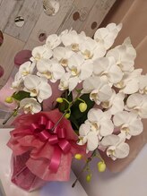 ウェリナ(Welina)/お店のお花☆