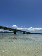 ネイビー鍼灸指圧治療院(NAVY鍼灸指圧治療院)/社員研修！