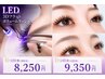 LEDグルーの圧倒的な持続力【3Dフラットボリューム】140束(420本)¥9350