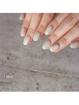 セドラ(Cedrat)/(spring)   ice green / white