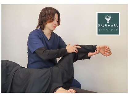 がじゅまるの写真