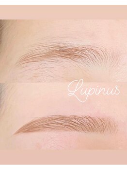 ルピナス(Lupinus)/3Dアイブロウリフト