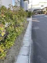 くつろぎの森/奥の赤い三角コーンが目印です