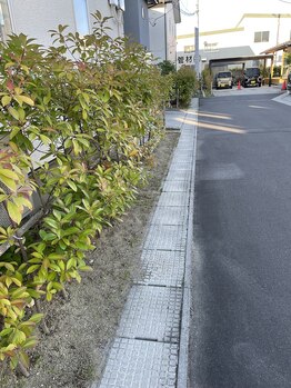 くつろぎの森/奥の赤い三角コーンが目印です