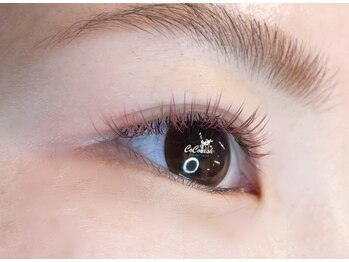 ココラッシュ 桜木町店(COCOLASH)の写真/柔らかい雰囲気にしたい方♪ALLブラウンカラーご用意！お客様に合わせたカラーをご提案させて頂きます◎