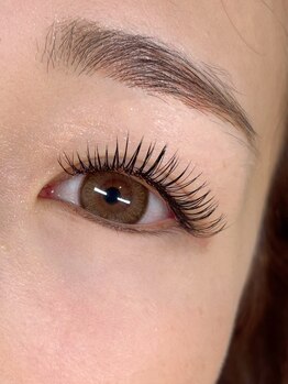 アイデザインブリンク(eye design BLINK)/デザインキープラッシュ120本