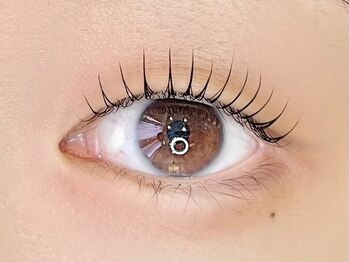 エイト アイラッシュ 池袋店(eight eyelash)/ラッシュリフト