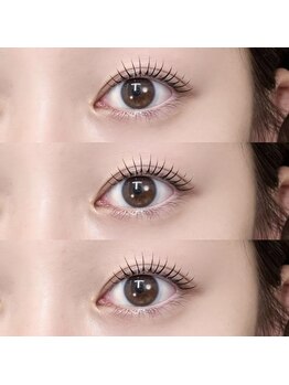 ベリーニ(Be.llini.)/担当staff：hina