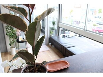 ゴールデンケア 岡崎店(Golden Care)/シミ・毛穴洗浄・フェイシャル