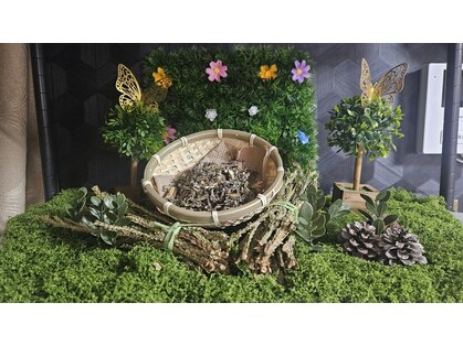 ミホズルーム(Miho‘s room)の写真