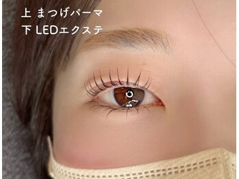 アトリエ リリー(Atelier Lily)/ラッシュリフト&下40エクステ