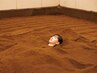 【中学生限定★】米ぬか酵素風呂30分コース（入酵セット付）