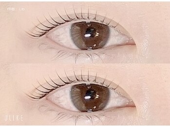 アイラッシュリゾートメリア(eyelash resort Melia)/まつ毛パーマ