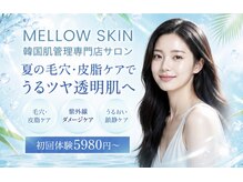 メロウスキン(MELLOW SKIN)