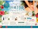 スアイ(SUAI)の写真