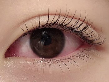 カラン 焼津店(CALIN)/上下ラスティングカール