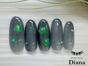 ディアナ 日立多賀店(DIANA)/H1-041　定額ネイル　5980円