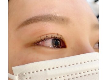 ジョリー(Jolie)/