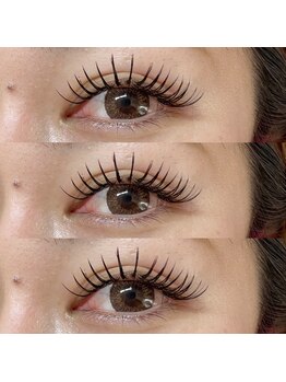 アイラッシュ ベイビーステップ(Eyelash Baby step)/バインドロック140束