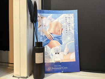 アイディール(IDEAL)/話題の脂肪冷却エステ