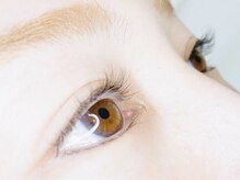 ループ(LOOP)/フラットラッシュ100本