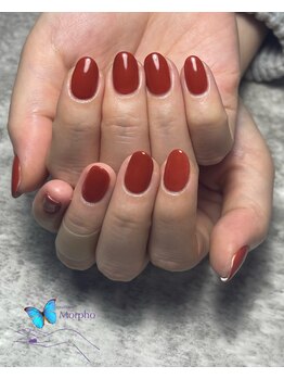 モルフォ 千駄ヶ谷(Morpho)/ちゅるんとテラコッタ