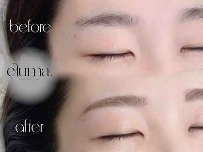 エルマ(eluma.)の写真