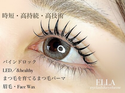 エラ(ELLA)の写真