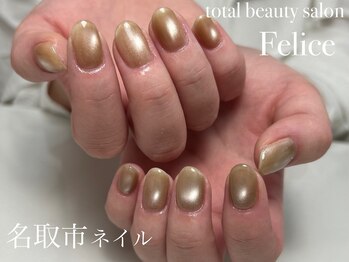 フェリーチェ 名取(Felice)/ワンカラー(マグネットネイル)