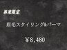 【再来】眉毛スタイリング＋眉毛パーマ　60分¥8480