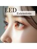 ★お試し★LEDグルー×フラットラッシュ40×40