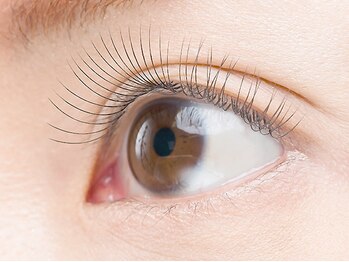 オレンジスター バイ パッセージ(ORANGE STAR BY PASSAGE)/セーブル80本4320円[相模大野]