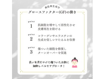 ポノ(pono)/グロスファクター導入コース